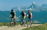 Mountainbike